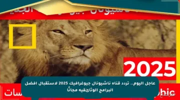 عاجل اليوم.. تردد قناة ناشيونال جيوغرافيك 2025 لاستقبال أفضل البرامج الوثائقية مجانًا